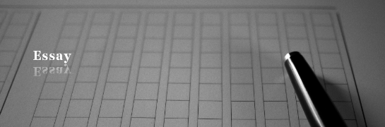 Essay TOP